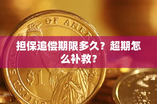 北京担保追偿期限多久？超期怎么补救？