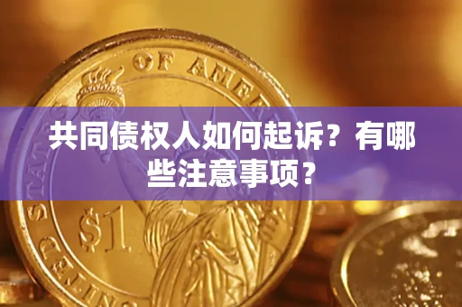 北京共同债权人如何起诉？有哪些注意事项？